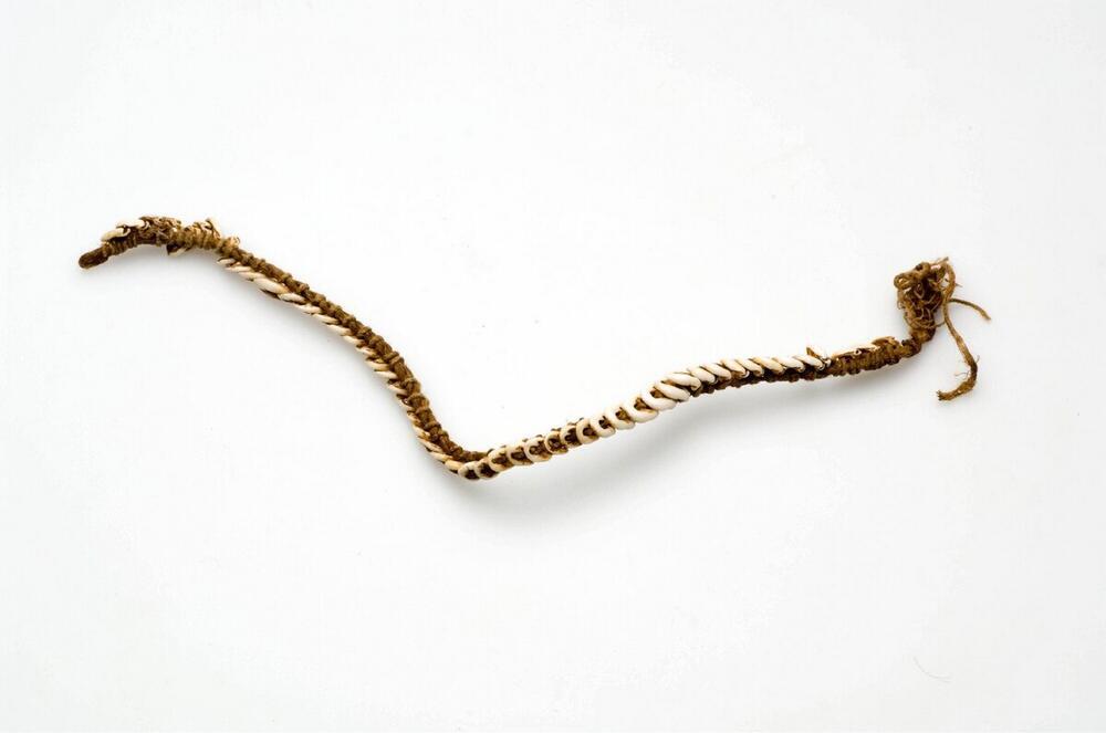 Knieband
