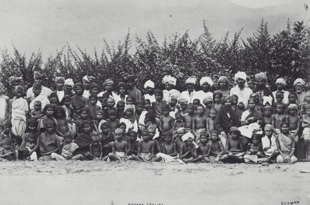 Portret van een groep arbeiders op een plantage, Ceylon