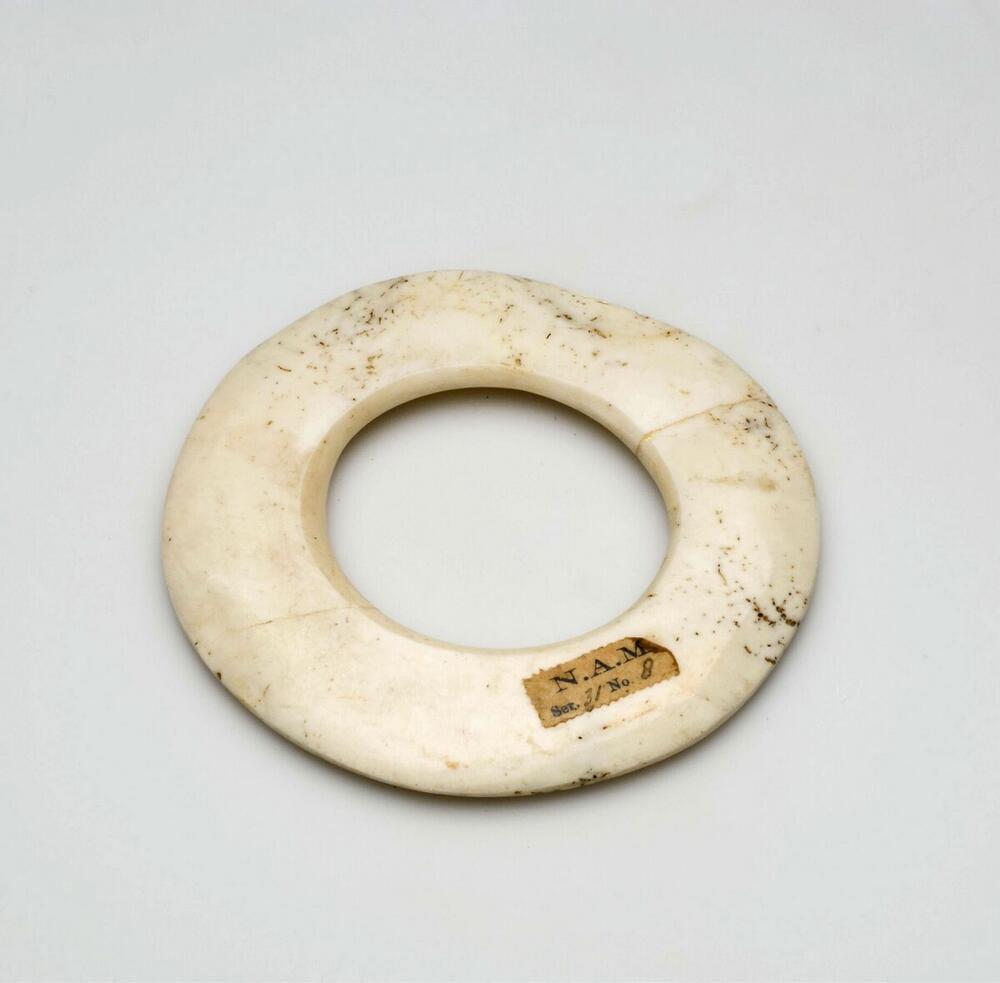 Armband van geslepen schelp