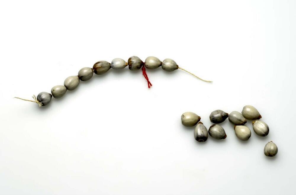 Armband van pitten