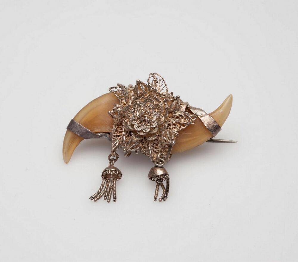 Filigraan broche met tijgernagels