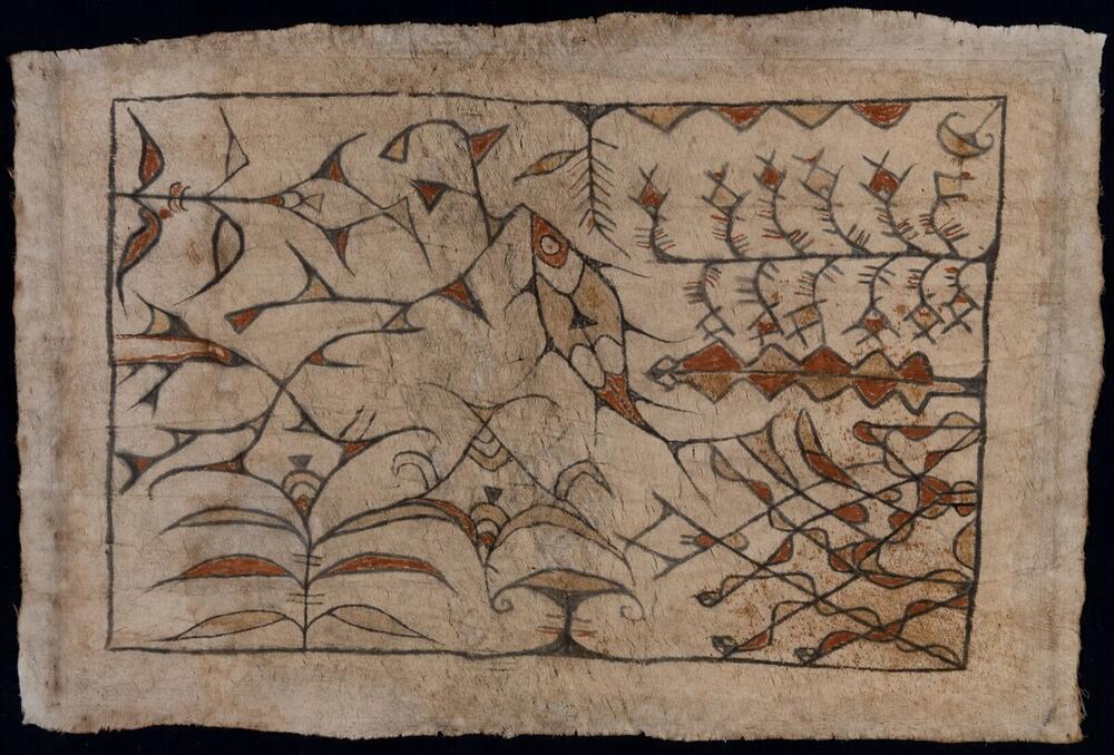 Painted barkcloth depicting plants, flowers and insects, worn by women during dancing feasts