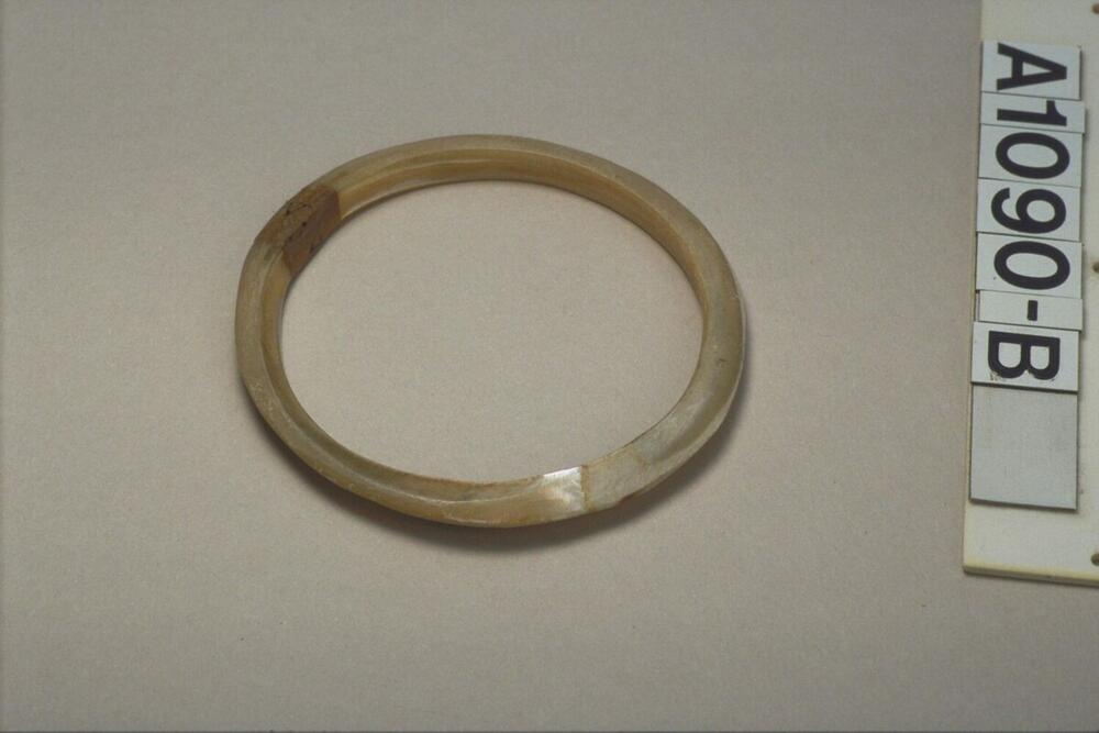 Armband gemaakt van schelp