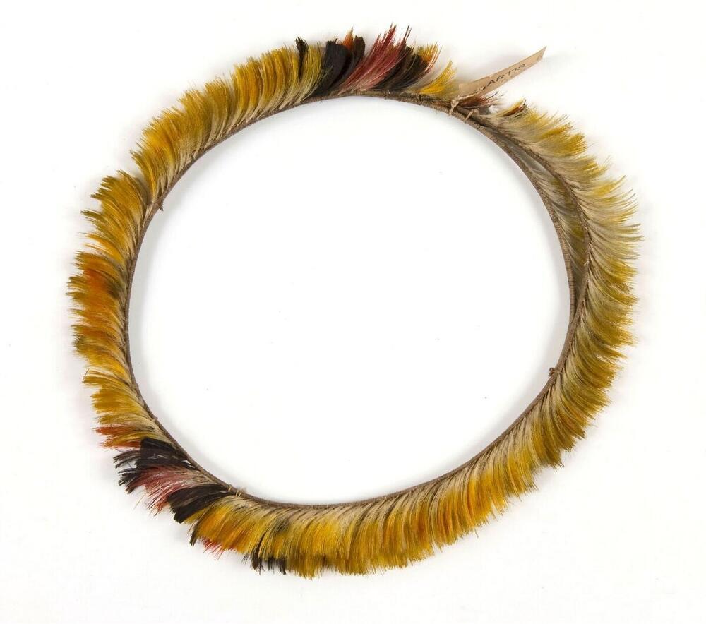 Hoofdband van veren
