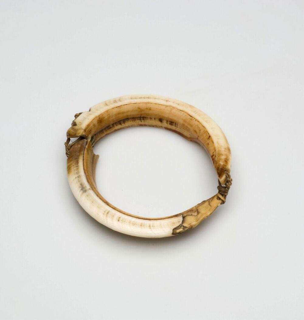 Armband van twee varkenslagtanden
