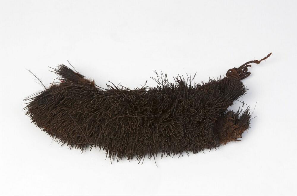 Head adornment of a warrior, made of two rows of cassowary feathers