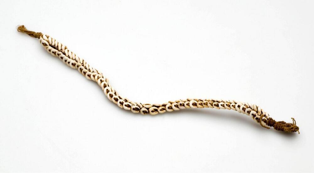 Knieband
