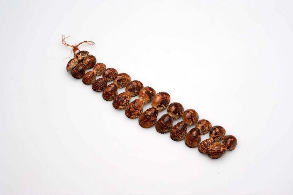Armband van slakkenhuizen
