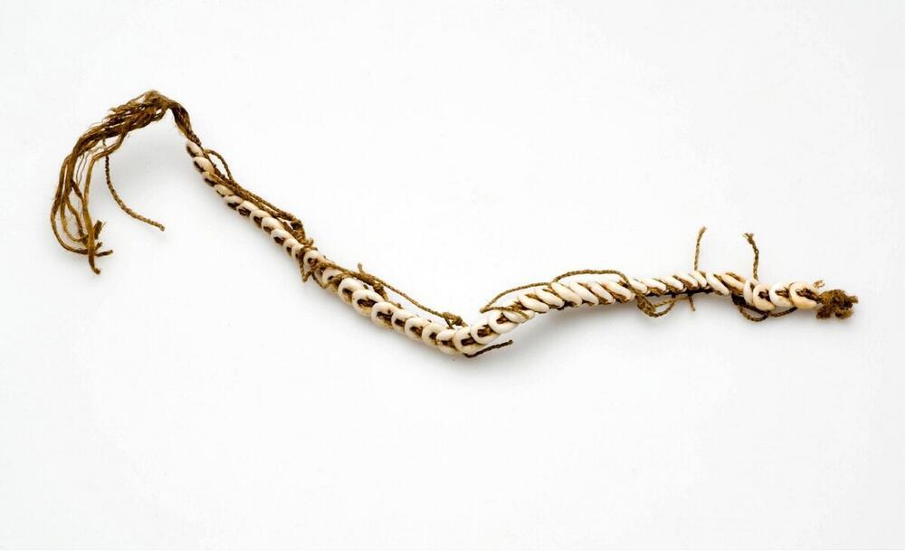 Knieband