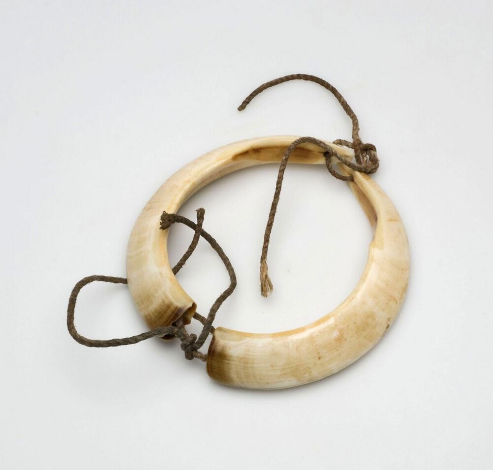 Armband van varkensslagtanden