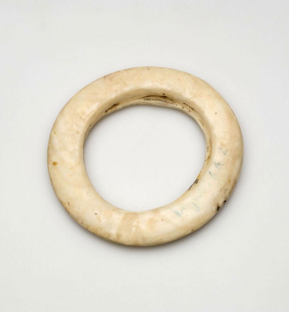 Ring van conusschelp