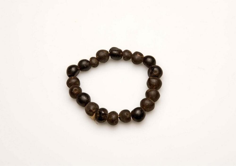 Armband van aangeregen vruchtendoppen