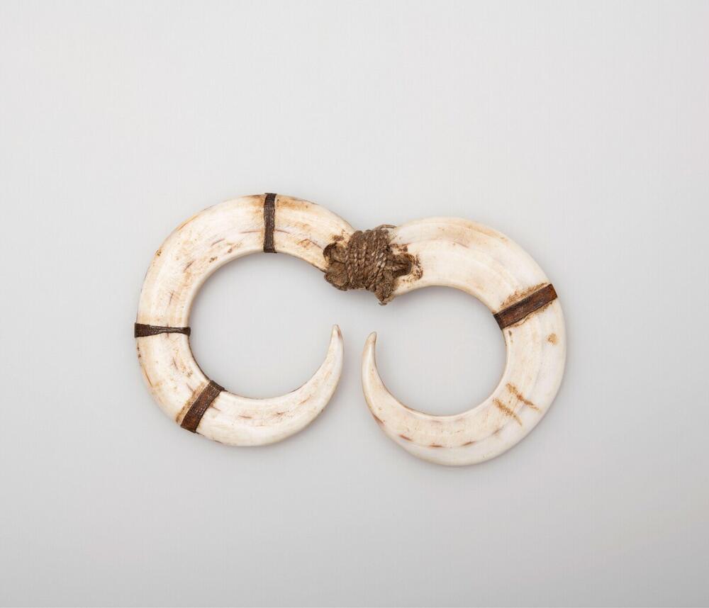 Nose ornament of shell for men
