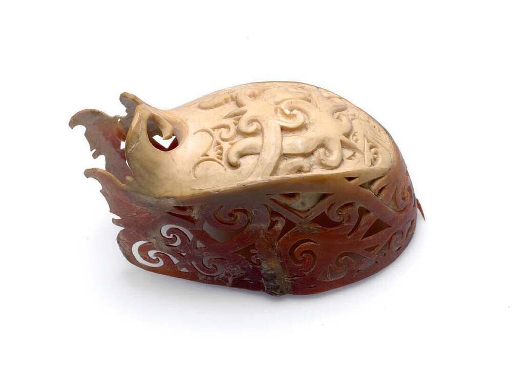 Earring made of hornbill beak