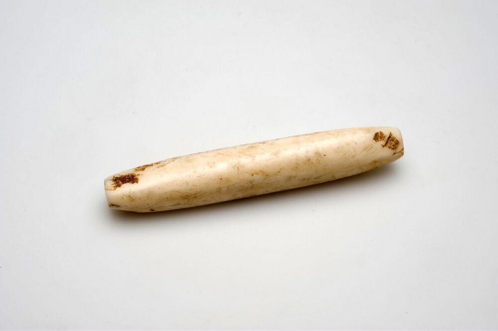 Neusstaaf