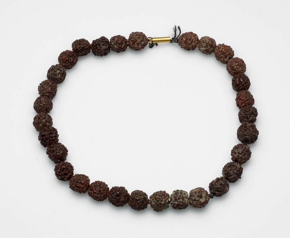 Halsketting van jenitri of rudraksha pitten