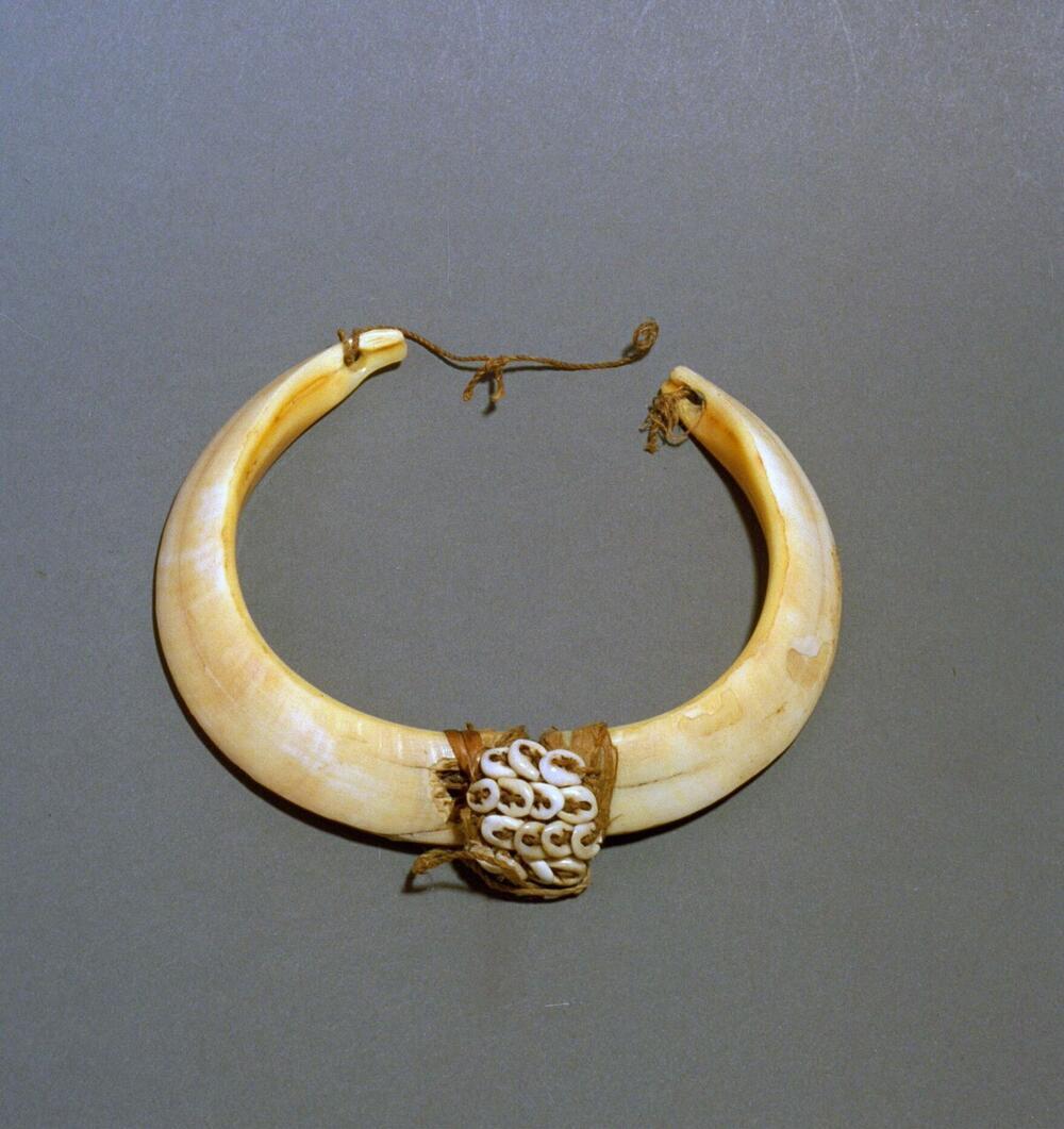 Armband van varkensslagtanden