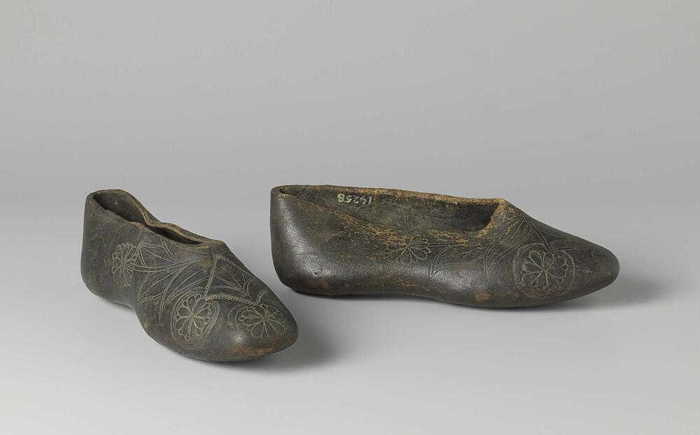Pair of overshoes