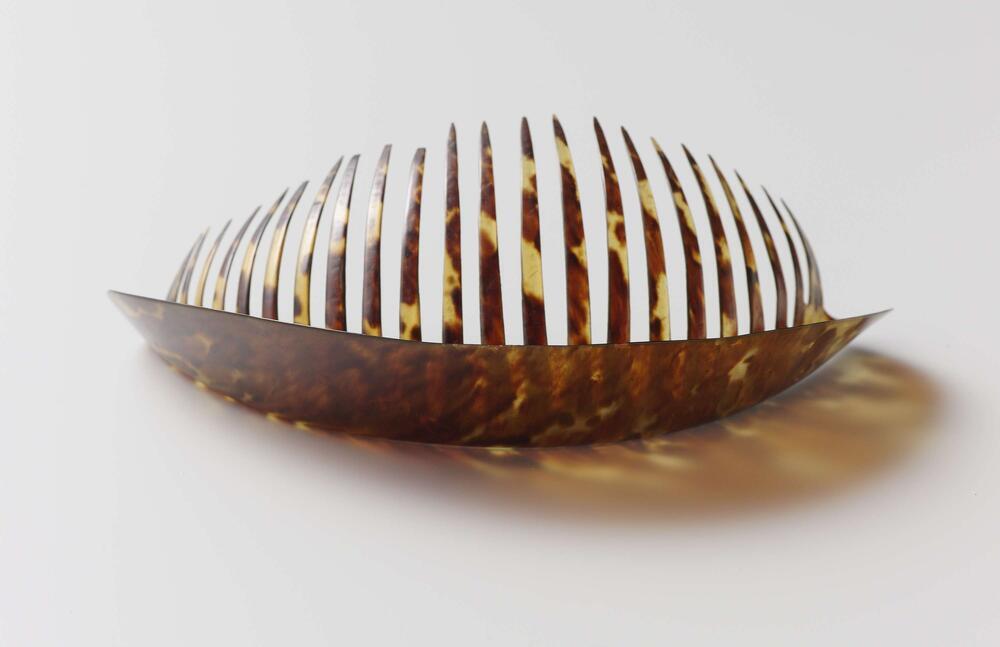 Haarkam van schildpad met een onversierde ronde rug, die gekant staat op de tanden