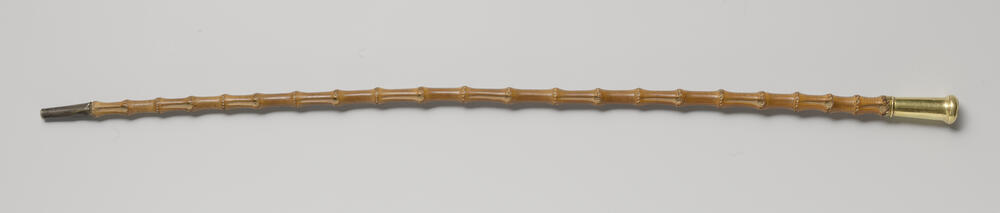 Rotting met gouden VOC-munt van 1779