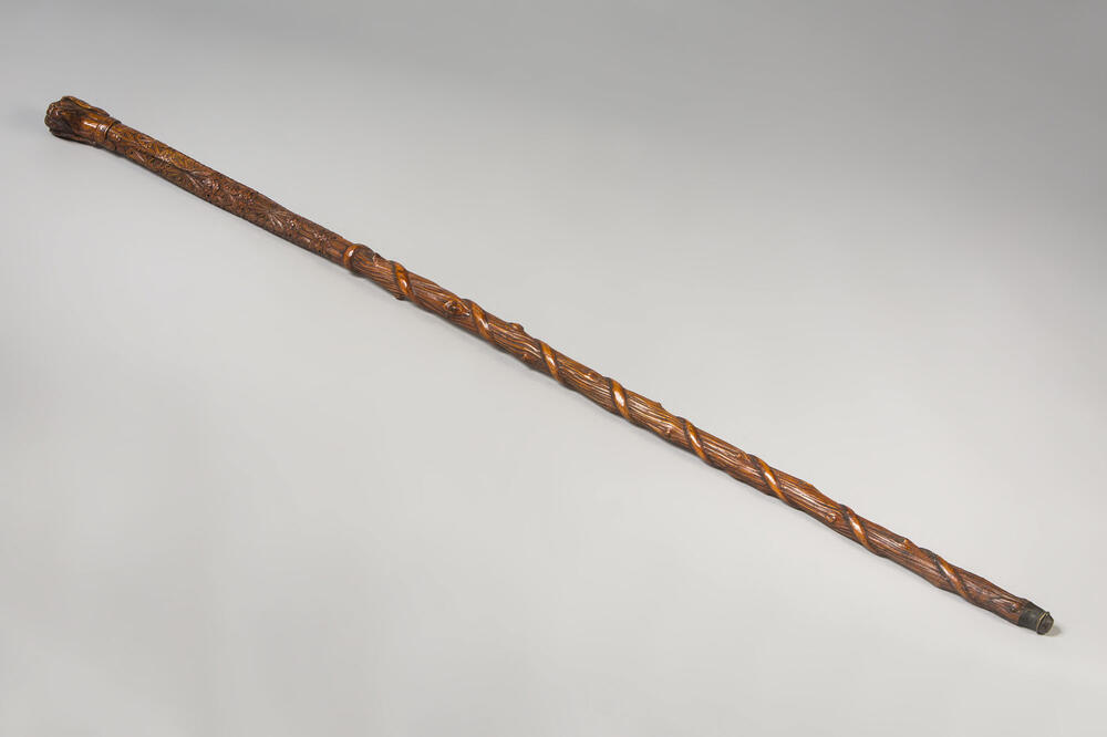 Wandelstok