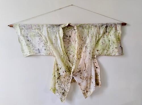 Gekleurde schimmels en algen op een proefmodel van kaasdoek