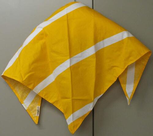 Hoofddoek