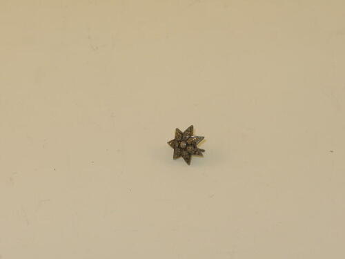 Oorbel (stervormig)