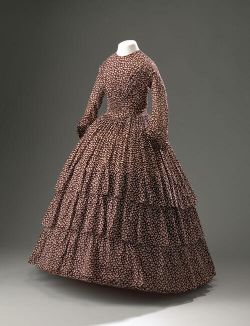Crinoline japon