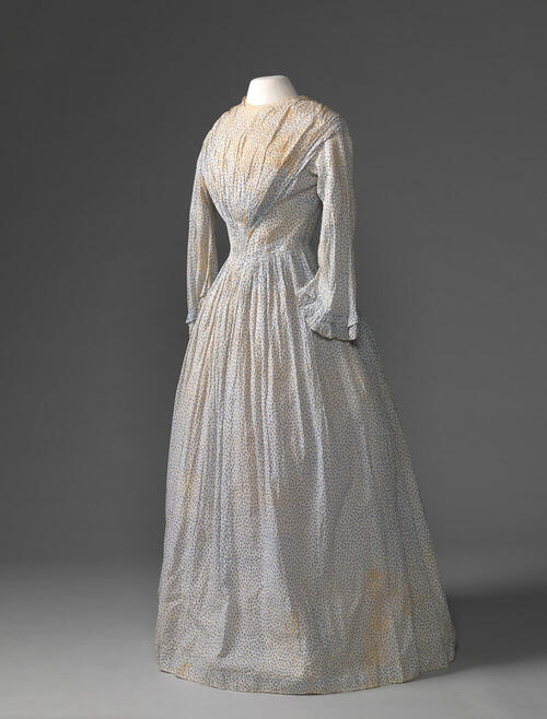 Crinoline japon
