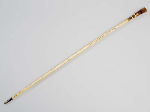 Wandelstok, bestaande uit benen ringen en top
