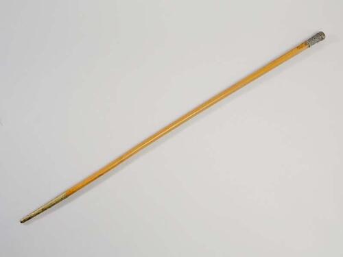 Wandelstok met op het eind een zilveren knop versierd met bloemwerk. Op het ondereind koperen punt