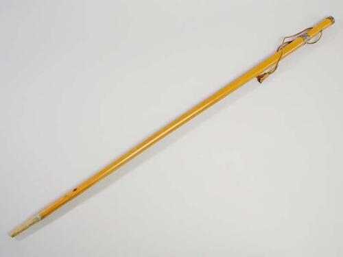 Wandelstok, bovenaan een zilveren dop en ring, beide bewerkt met accanthusbladmotief