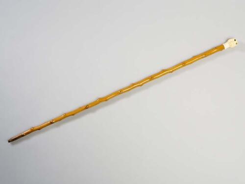 Wandelstok met doornknobbels, de knop bestaat uit een gesneden buldoggenkop