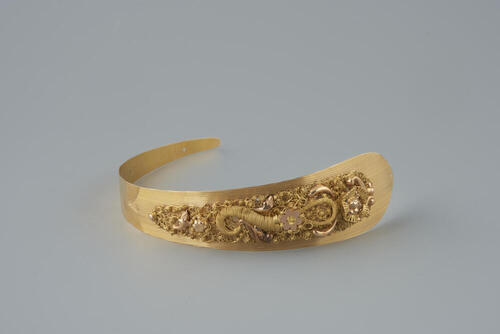 Gouden voorhoofdsnaald, Noord-Holland, 1867