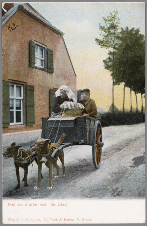 Vrouw en man in Noord-Brabantse dracht op een hondenkar, 1902–1905