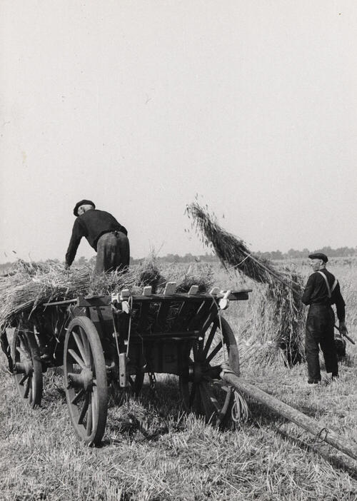 Opladen van rogge, Staphorst, 1944
