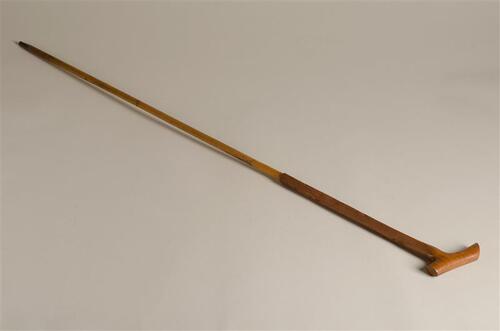 Wandelstok