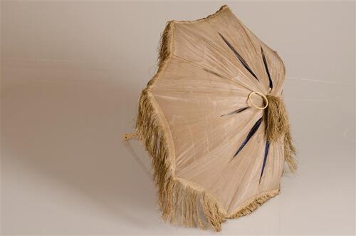 Parasol