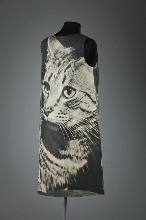 'The cat dress'