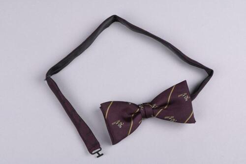 Vlinderdas in auberginekleurige polyester