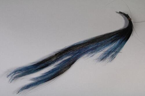 Donkerblauwe pluim