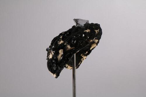 Kapothoed in passementerie, kant en pailletten