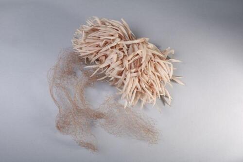 Kam met beige stoffen veren en tule