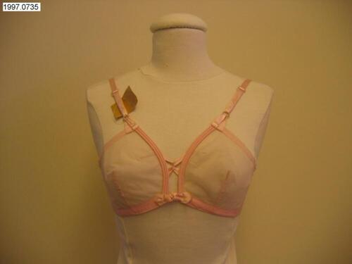 Bustehouder in roze, doorschijnende nylon