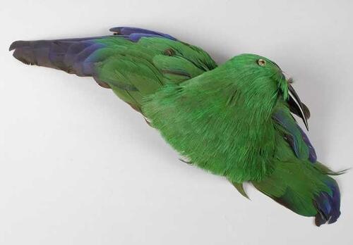 Driedelige verendecoratie, papegaaienkop (a) en twee vleugels (b-c), groen-blauwe veren, vastgezet…