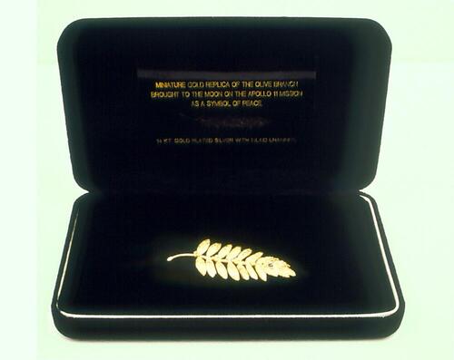 Olive branch brooch