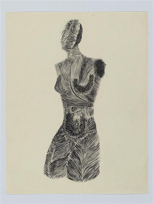 Torso