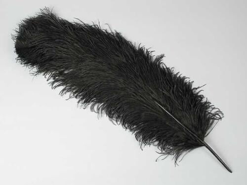 Veren hoedendecoratie of corsage, donkerbruine maraboeveer samengesteld uit meerdere (stukjes) veren