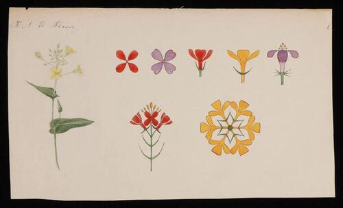 Ontwerptekening, realistische plant en gestileerde bloemvormen in oostinische inkt en gouache in…